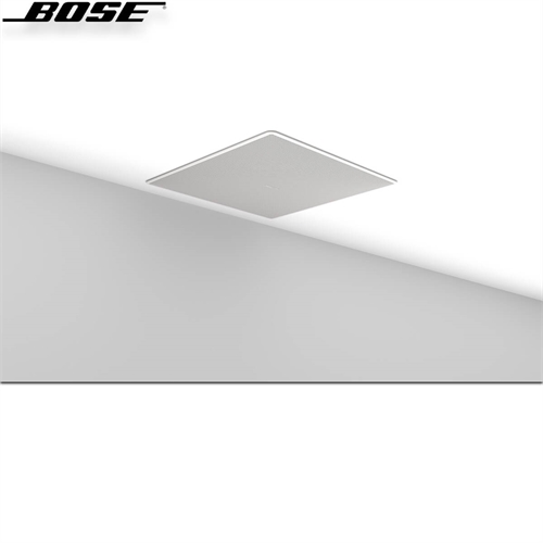 Loa Bose EdgeMax EM180 7